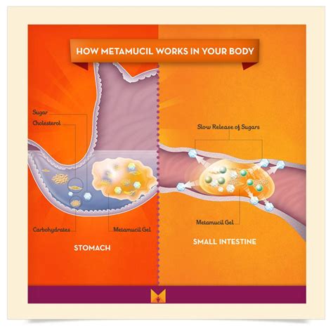 Metamucil Side Effects