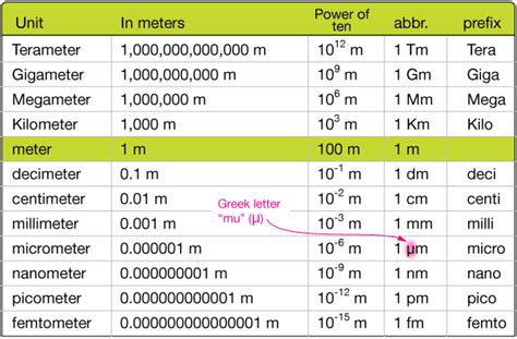 Metric Meter Scale