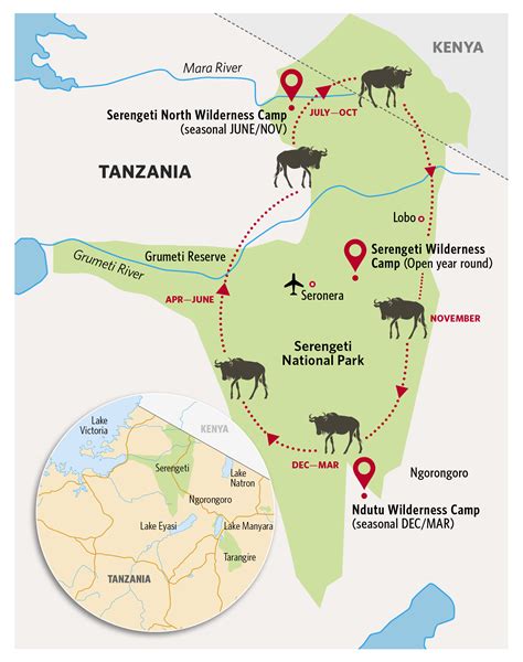 Migration Of Animals From Tanzania To Kenya