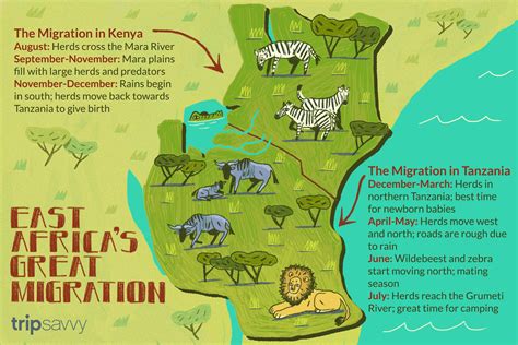 Migration Of Animals In Kenya