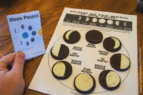 Moon Phases Activity