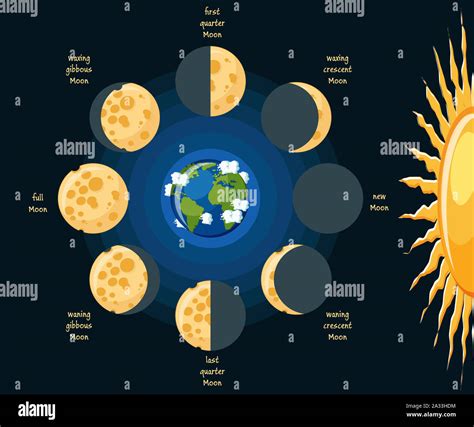 Moon Phases Illustration