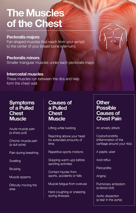 Muscle Strain In Chest