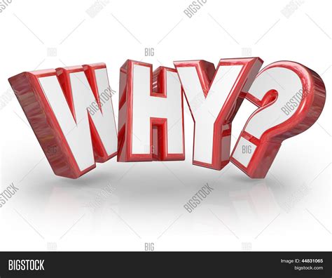 My Why In One Word