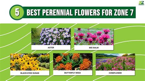 Native Plants To Zone 7B