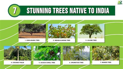 Native To India Trees