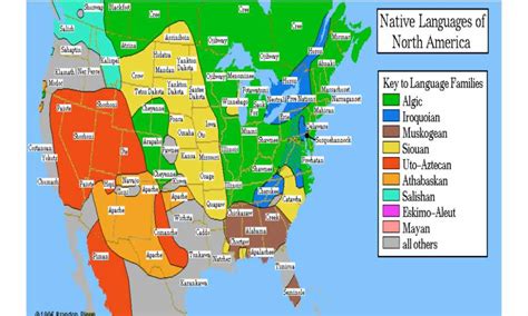Native To Language Meaning