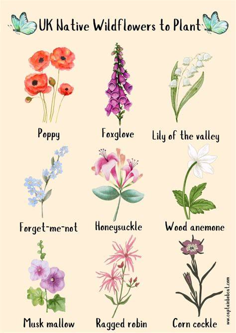 Native To Uk Plants