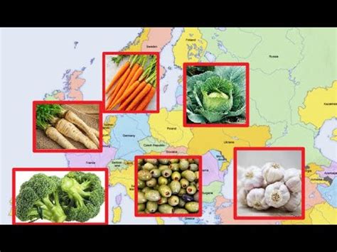 Native Vegetables To Europe