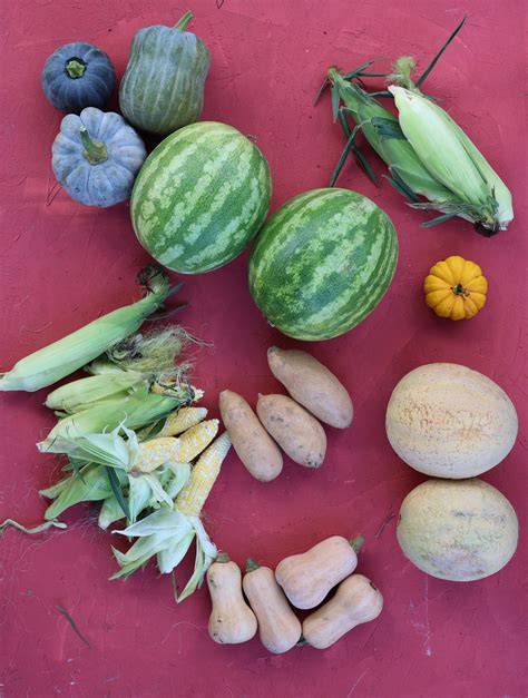 Native Vegetables To North America