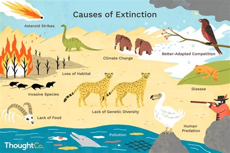 Natural Extinction Examples