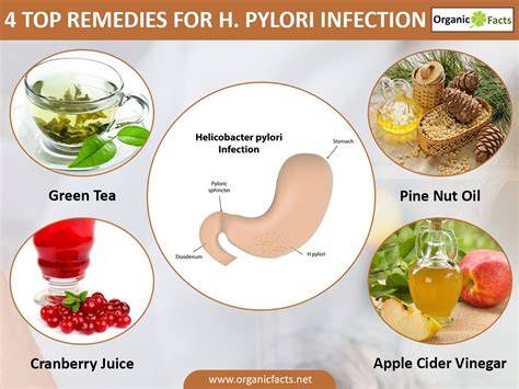 Natural H. Pylori Treatment