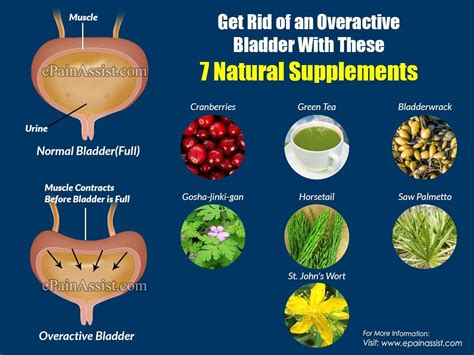 Natural Remedies For Overactive Bladder