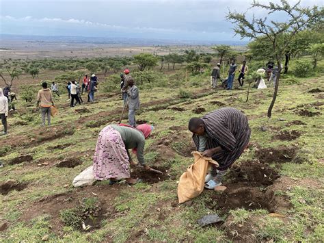 Neighbors Of Ethiopia