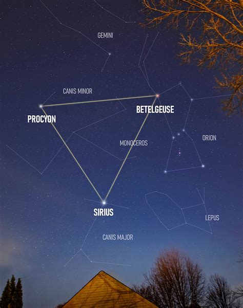 Neighbors Of Orion