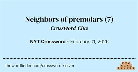 Neighbors Of Premolars Crossword Clue
