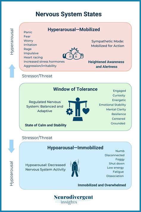 Nervous Collapse Symptoms