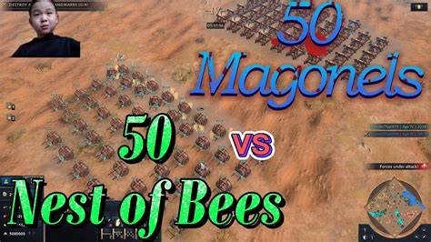 Nest Of Bees Aoe4