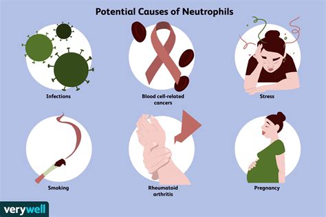 Neutrophils High Symptoms