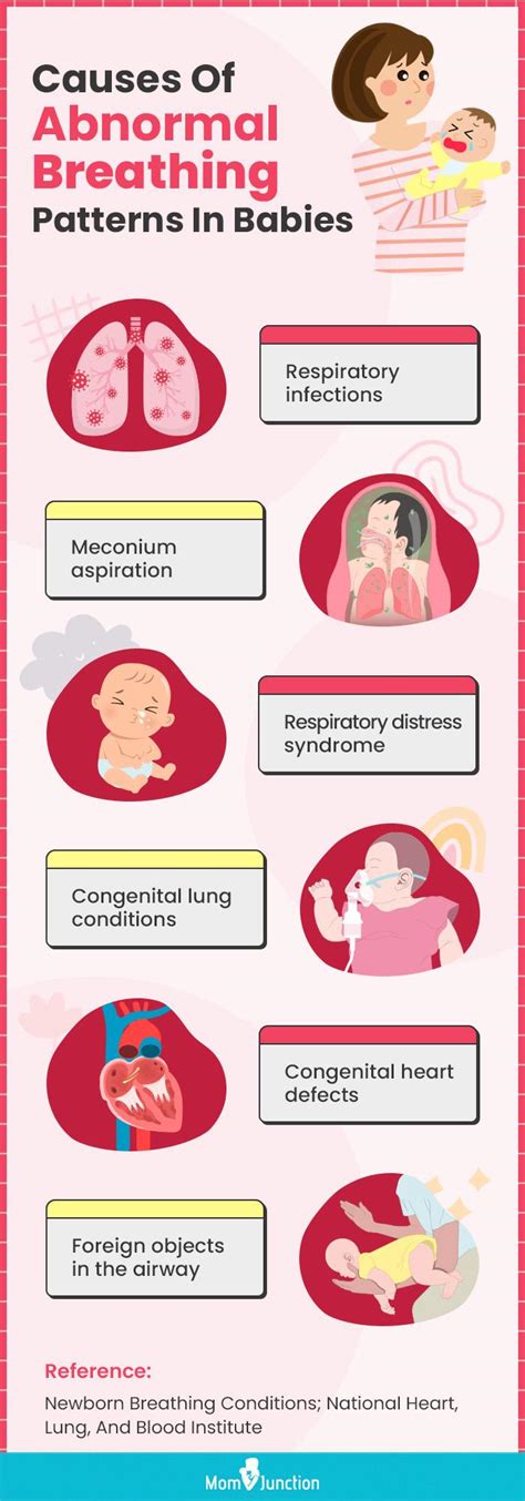 Newborn Belly Breathing