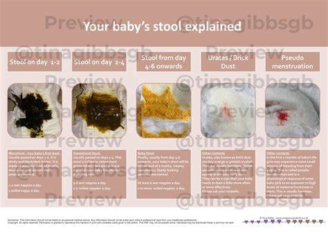 Newborn Infant Diarrhea