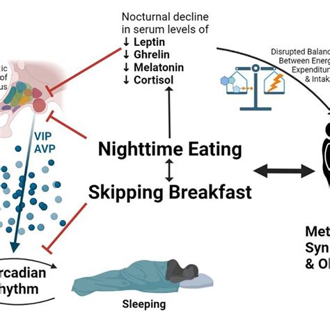 Nighttime Eating Syndrome