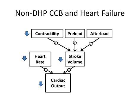 Non Dhp Ccb