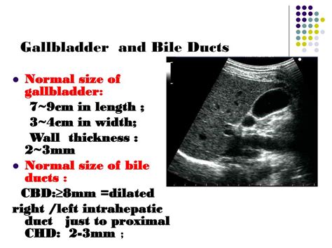 Normal Gallbladder Wall Thickness