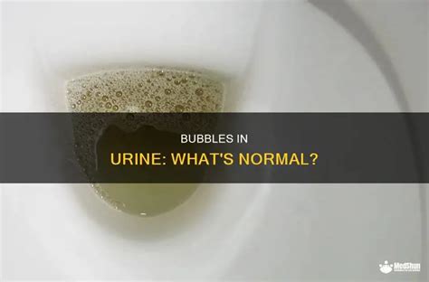 Normal Small Bubbles In Urine