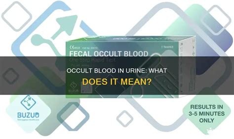 Occult Blood In Urine