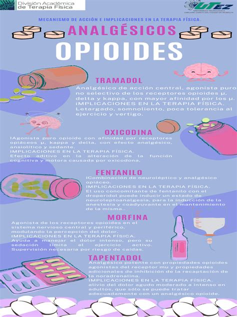 Opioides Que Es