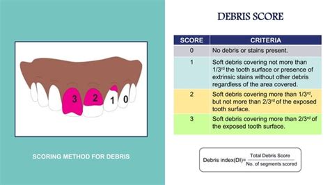 Oral Hygiene Index Simplified