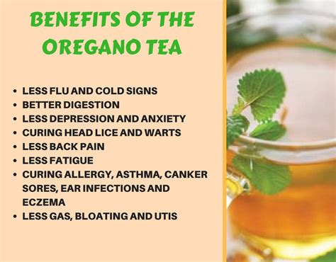 Oregano Tea Benefits