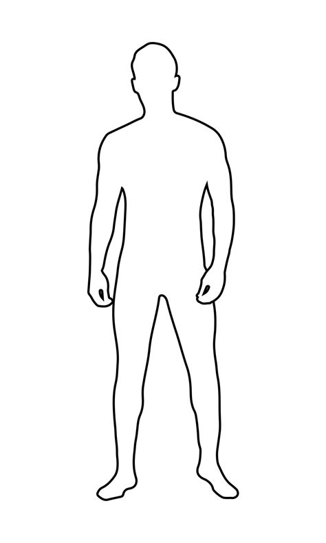 Outline Of A Person