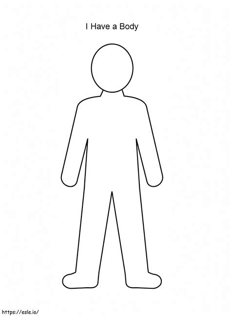 Outline Of Body