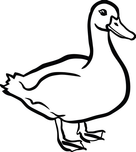 Outline Of Duck