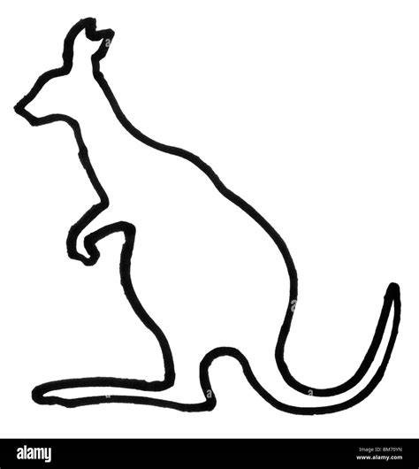 Outline Of Kangaroo