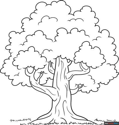 Outline Of Tree