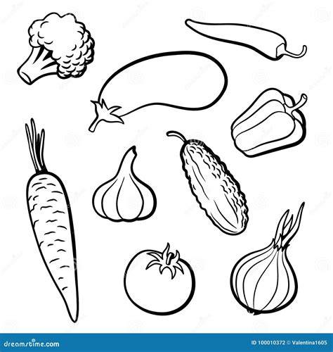 Outline Of Vegetables