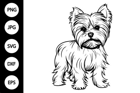 Outline Of Yorkie