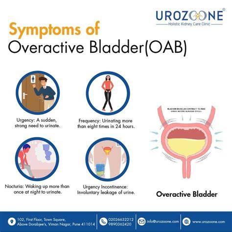 Overactive Bladder Symptoms