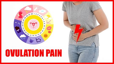 Ovulation Pain And Pregnancy Success