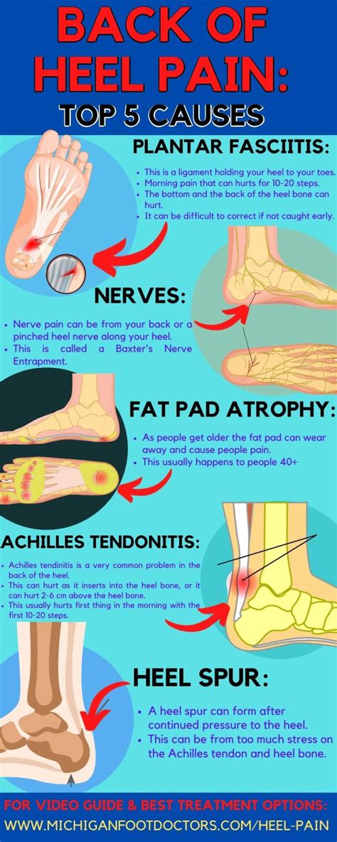 Pain In Back Of Heel