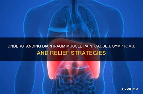 Pain In Diaphragm Muscle