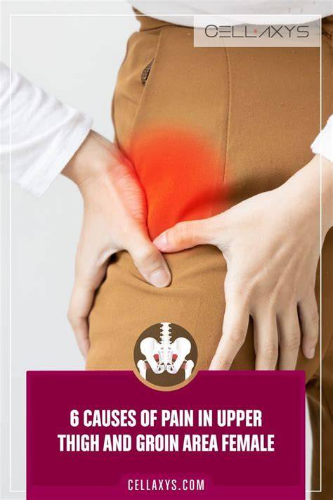 Pain In Groin Area Female