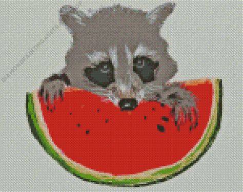 Painting Of Raccoon Eating Watermelon