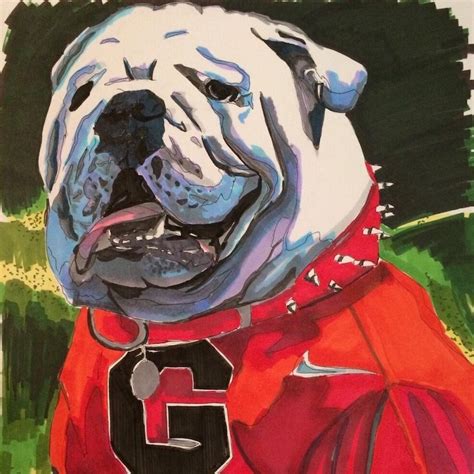 Painting Of Uga Mascot