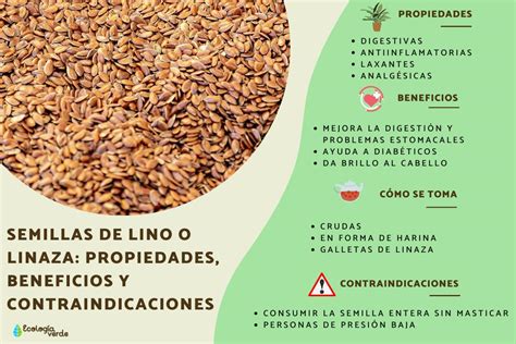 Para Que Sirve La Linaza