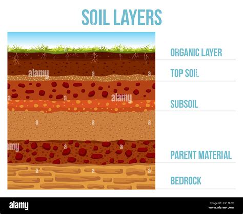 Parent Material Layer C