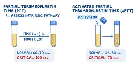 Partial Thromboplastin Time Blood Test